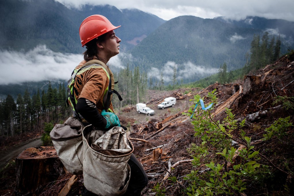 Mission «tree planting» dans l'Ouest canadien OuiSurf